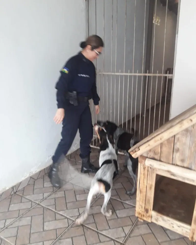 Ana de farda, com um cachorro, em serviço